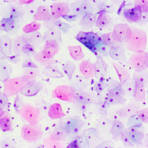 Cytology Cytology