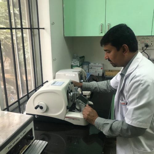 Histopathology Histopathology