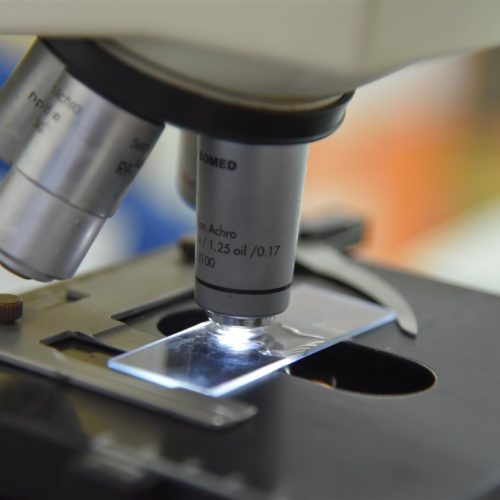 Microbiology & Serology