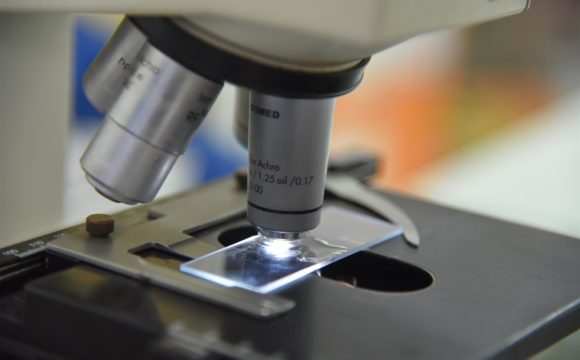 Microbiology & Serology