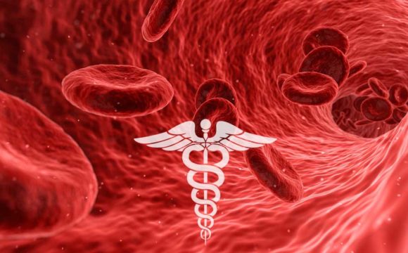 Covid-19  Antigen, Antibody Testing at Padmashree Diagnostics